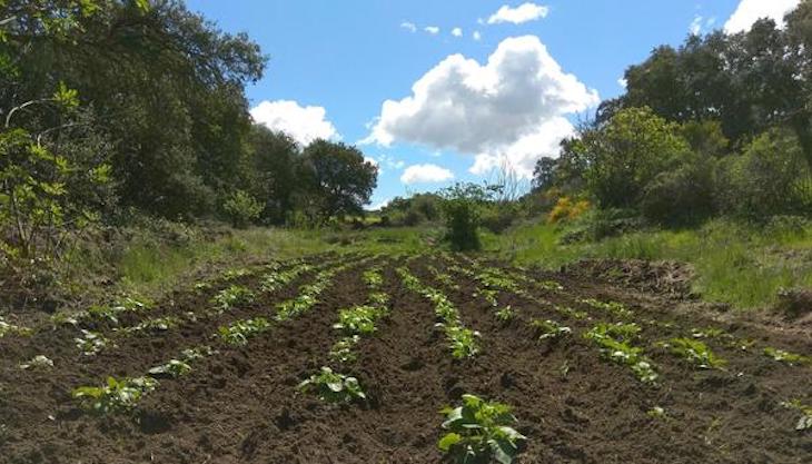 Global Nature confía plenamente en el ‘Congreso Magallanes-Elcano’