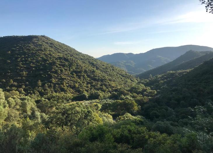 Puerto Serrano inicia el trámite para la aprobación del inventario y ordenanza de caminos rurales