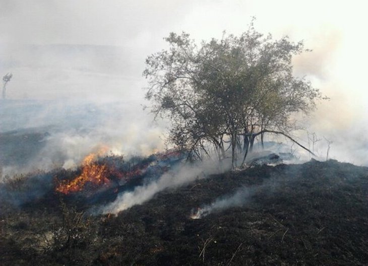 Activos los dos incendios provocados en Estacas de Trueba y en el Túnel de la Engaña