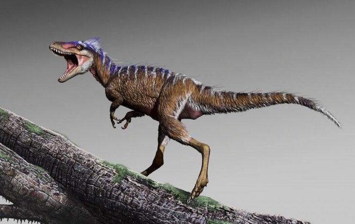 Los ráptores de verdad