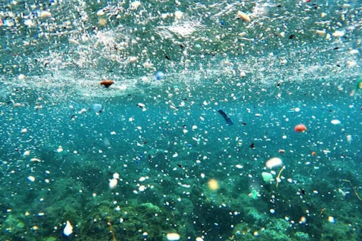 Los microplásticos han llegado a un lago de agua dulce del Ártico