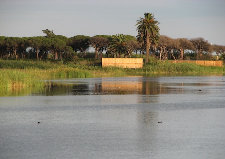 Europa expedienta a España por no proteger el Delta del Llobregat
