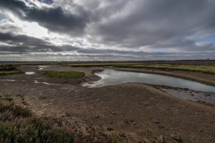 Aprobada en el pleno del Ayto. de Cádiz la moción contra la privatización de los Toruños