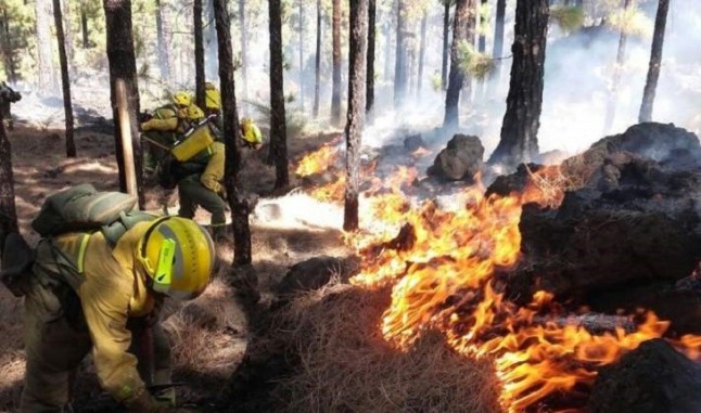 Autorizan prórrogas para quemas forestales y agrícolas en mayo en Jaén