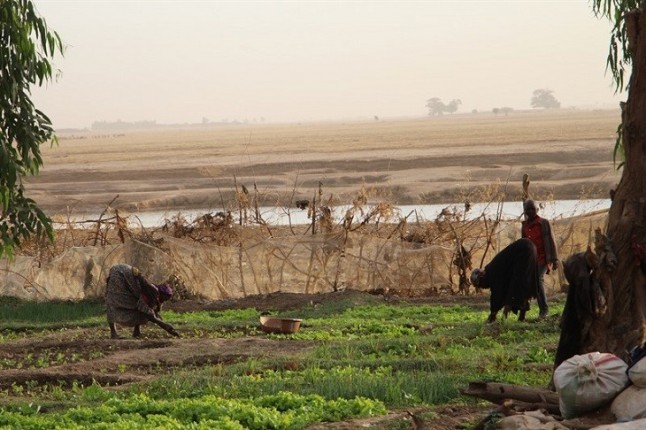 Cambio climático y violencia