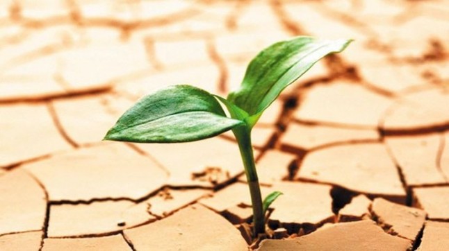 Las sequías causadas por el cambio climático son cada vez más cálidas