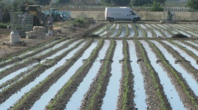 Regantes defienden un plan nacional de infraestructuras hídricas para afrontar el cambio climático