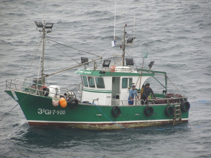 Solicitamos al Gobierno de Asturias que paralice el arranque del ocle