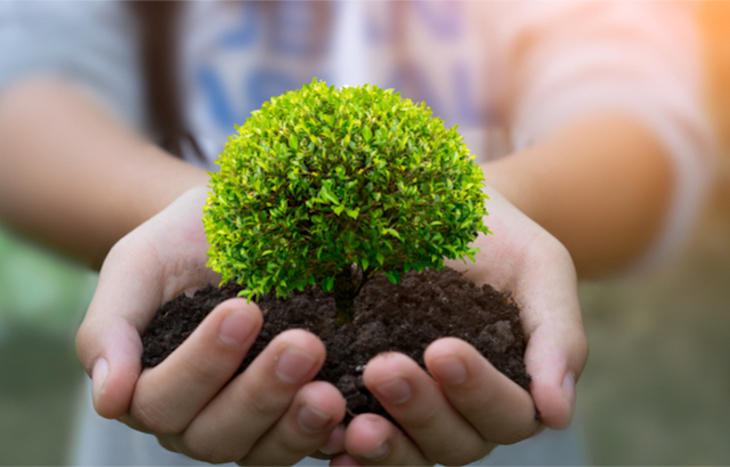 La mitad del presupuesto de la PAC podría destinarse a medioambiente