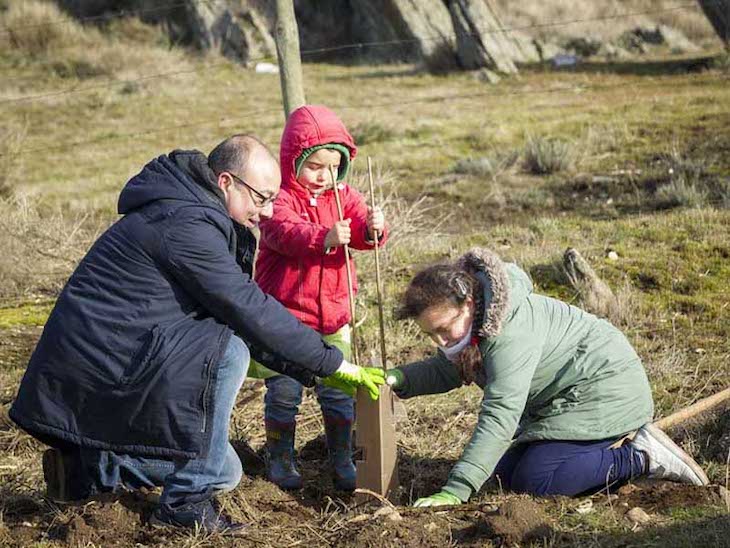 Fundación Montemadrid completa la primera fase de ReforestaAcción con 1.350 árboles plantados en la Sierra Norte