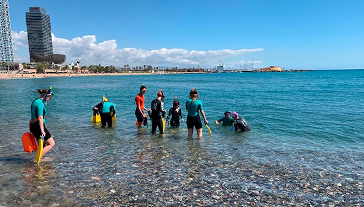 Descubre la biodiversidad de la costa con la campaña ‘Retorno al Mar’
