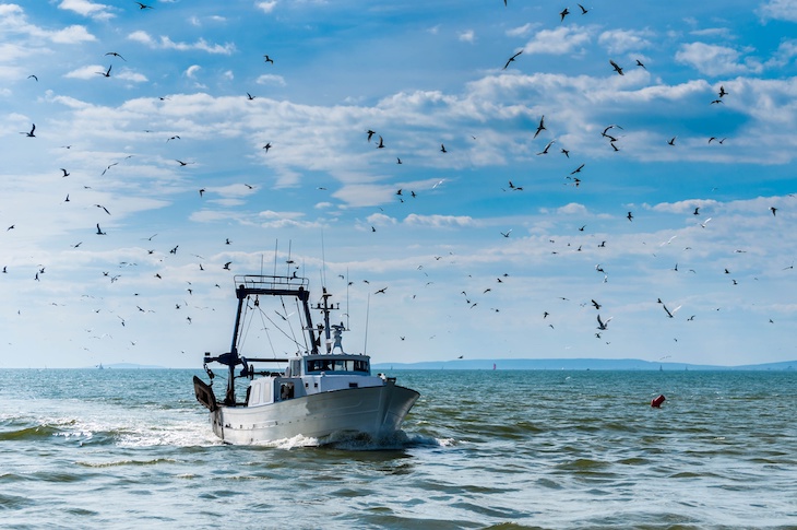 España apoya la sostenibilidad del sector pesquero y acuícola y reforzar la protección de la Red Natura 2000 en el medio marino