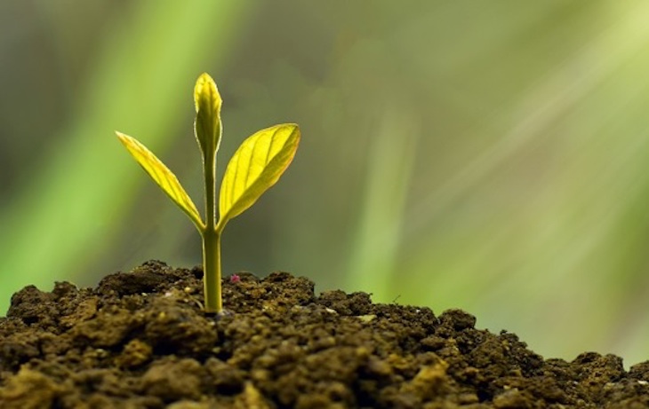 La FAO y Europa buscan colaborar en el Pacto Verde Europeo