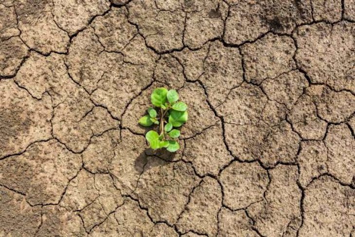 Plan ‘GoGreen’ de Pamplona