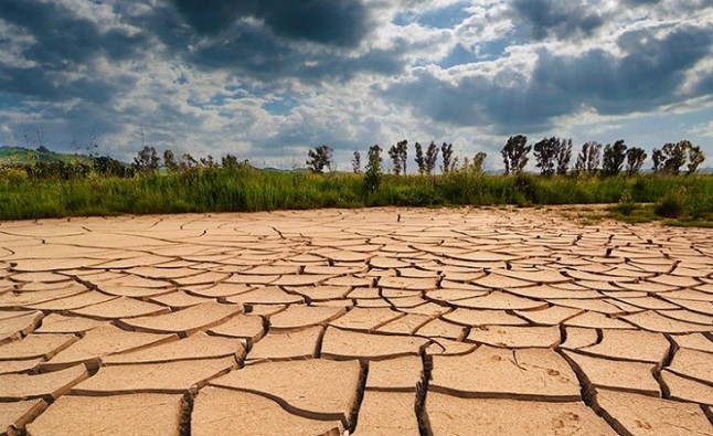 Ciudadanos cuestiona la decisión del Gobierno de aprobar por decreto parte de la ley de cambio climático