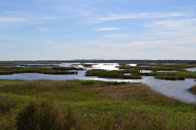 Los Parques Nacionales gozan de buena salud pero hay que atajar los problemas del agua en Doñana y Daimiel