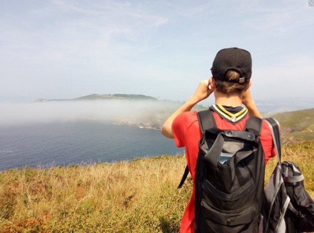Se explorarán los tendidos eléctricos con el fin de determinar su situación y combatir la mortalidad de las aves en este proyecto piloto