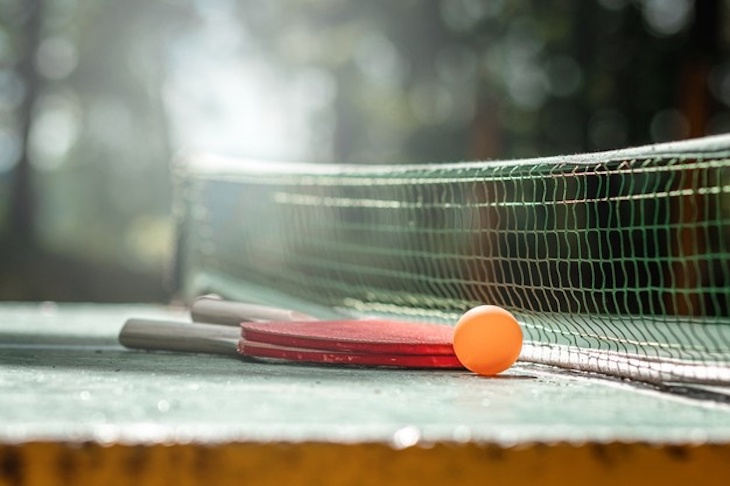 La ‘incompetencia política’ usa como pelotas de pingpong a los animales del laboratorio Vivotecnia