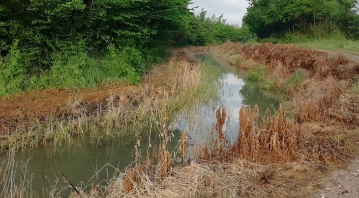Las márgenes del Canal del Duero en Valladolid sufre un deterioro ‘inaceptable’ por el uso de herbicidas