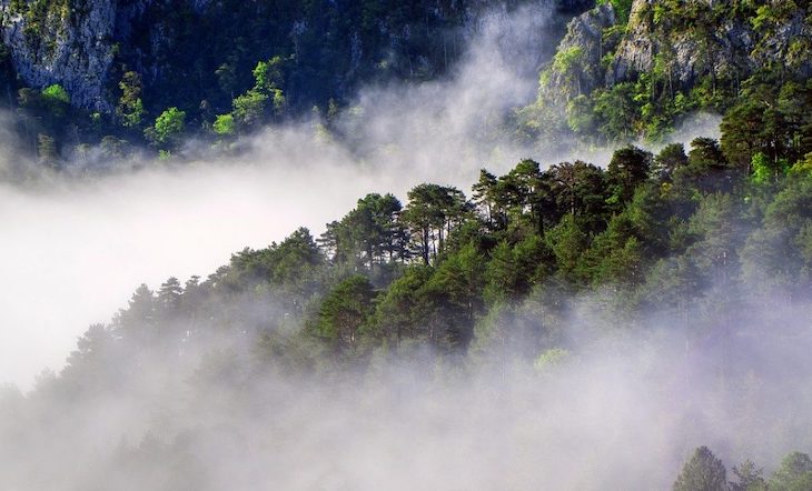 Día Mundial de la Meteorología 2020