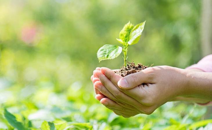 Medio ambiente. El impacto medioambiental de los detergentes ‘al descubierto’
