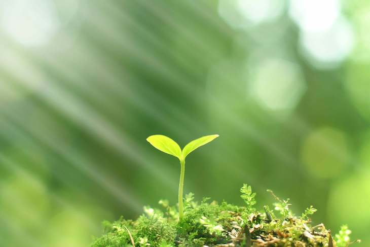 2.700 millones de euros a protección medioambiental