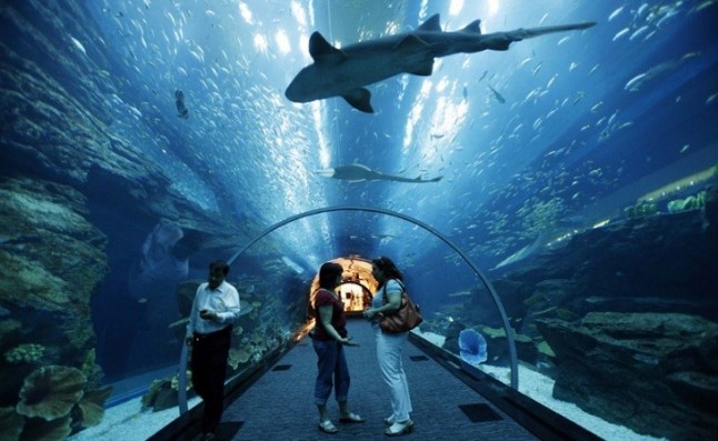 Atlantis Aquarium concienciación sobre cambio climático