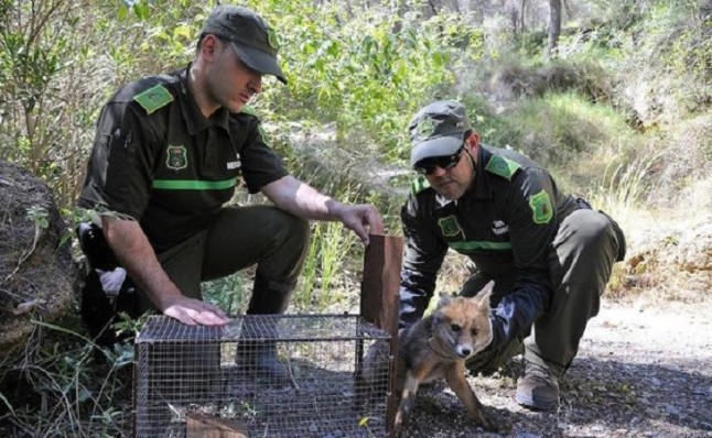 La Brigada de Delitos Ambientales de Murcia abre 30 investigaciones en lo que va de año