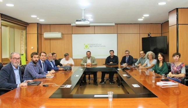 Ascienden a casi 51 millones de euros anuales la venta del hueso de aceituna como biocombustible