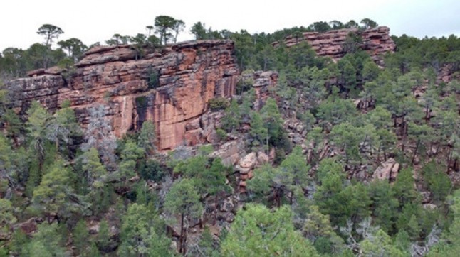 Los orígenes geográfico y genético