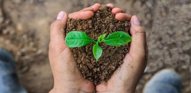 La preservación del medio ambiente pasa por un modelo económico sostenible