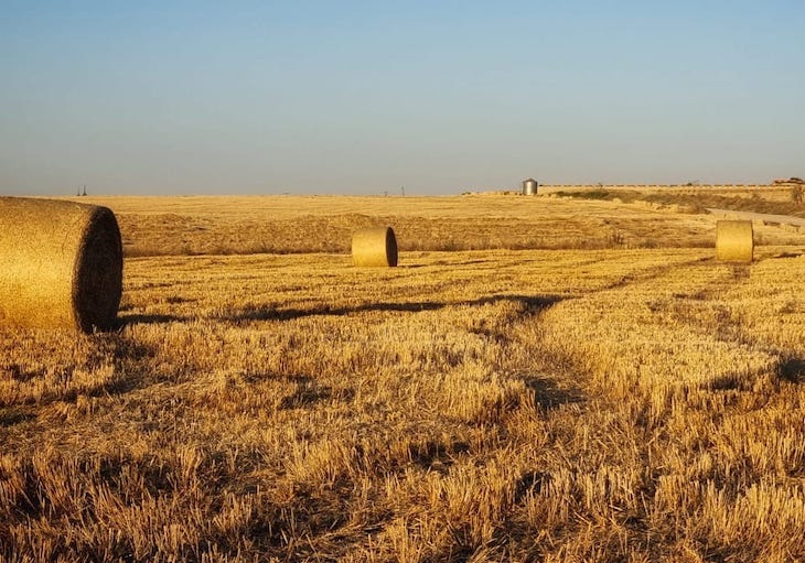 Anticipos de las ayudas de la PAC de 2021