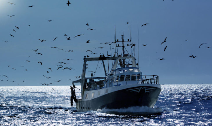 El Gobierno de España completa la ‘Red de Espacios de Conocimiento de Economía Azul’
