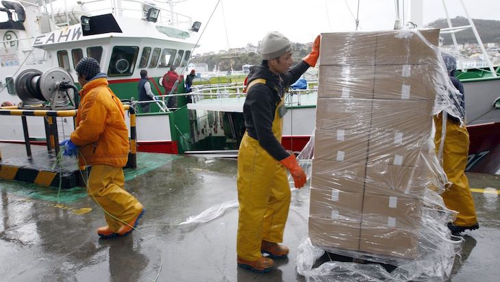 La presión pesquera en el Atlántico noreste se ‘rebajo’ a la mitad