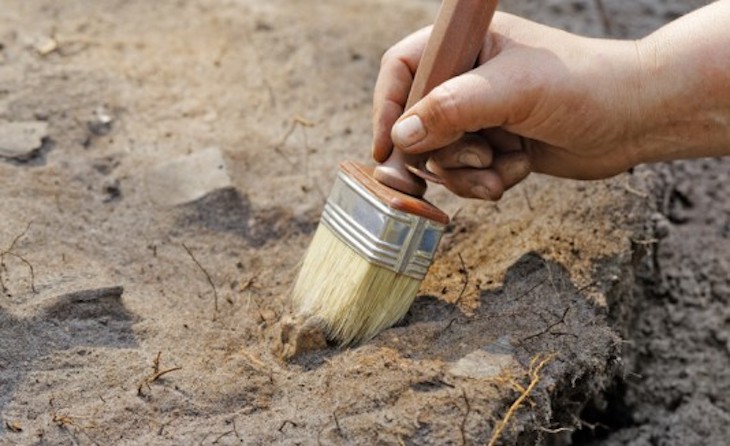 Fósiles de tejidos blandos desentrañan un misterio para Darwin