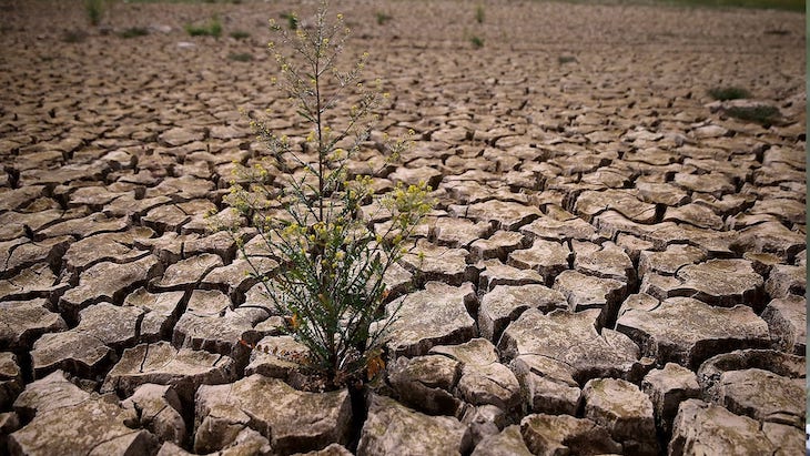 Narcolepsia generalizada en España sobre la ‘Ley de Cambio Climático’