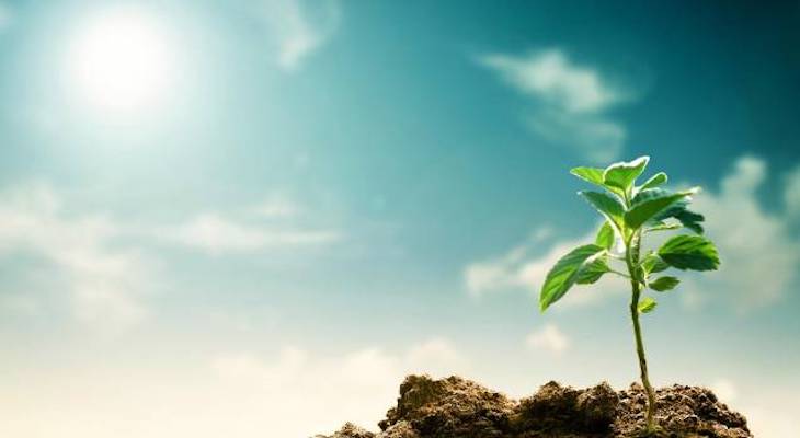 Europa quiere hacer ‘verde’ el programa Erasmus