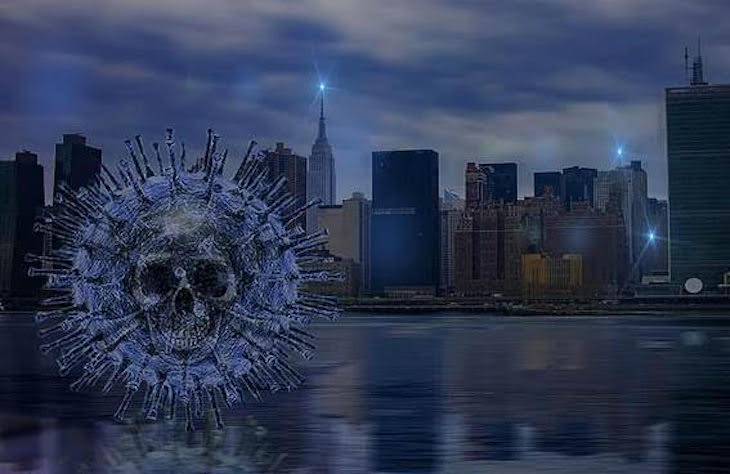 COVID 19 y medioambiente