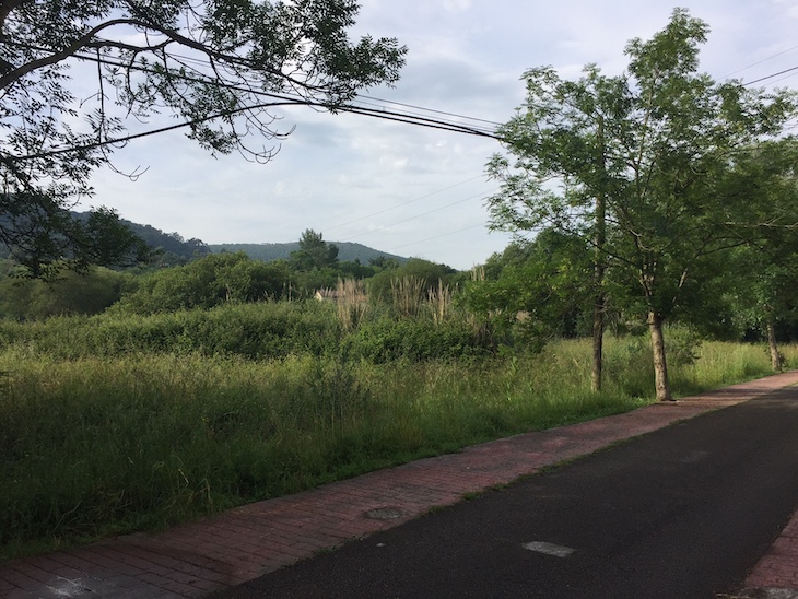 Cantabria recuperará áreas degradadas de Villaescusa eliminando plantas invasoras