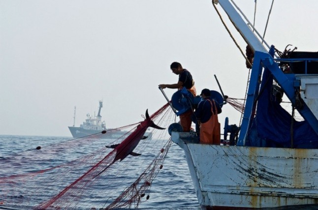Contra la pesca pirata