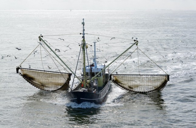 Europa pone fin a la pesca eléctrica a partir de 2021