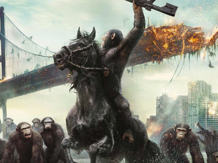 Si el ser humano se extinguiera