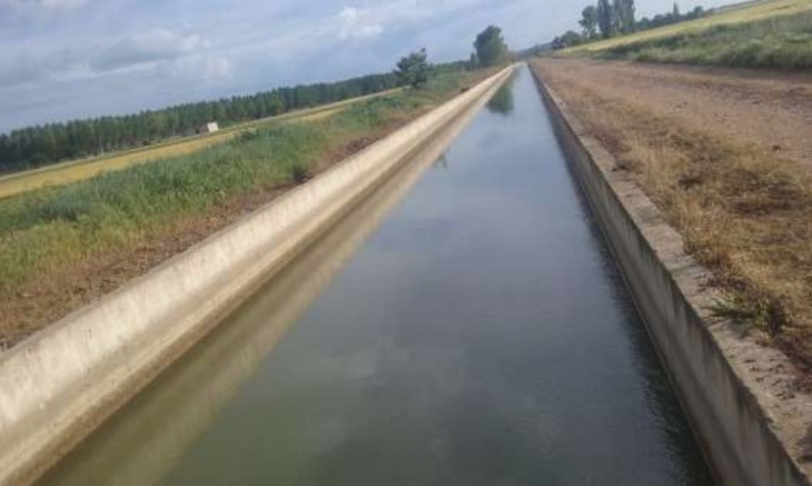 León tiene una grave problema de mortandad de fauna en los canales de riego