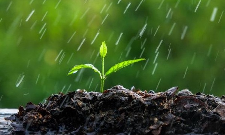 España organizará el X Congreso Internacional de Botánica en 2024