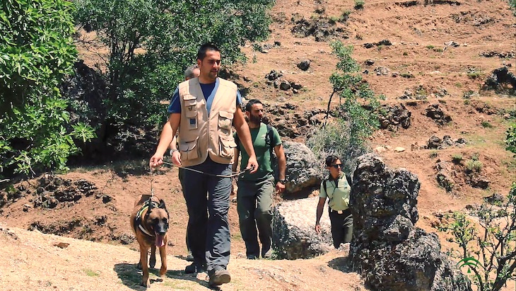 Andalucía y Castilla-La Mancha ‘abanderan’ la lucha en la persecución del uso ilegal del veneno