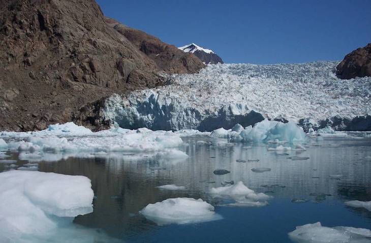 El calentamiento global impacta negativamente en el plancton