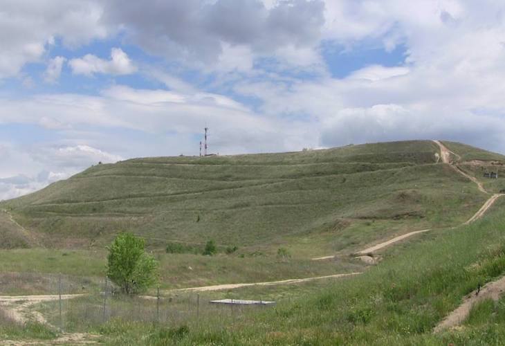 Piden respeto a los valores botánicos