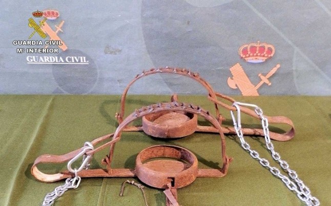 Investigan a tres energumenos por colocar lazos y cepos en Moral de Calatrava