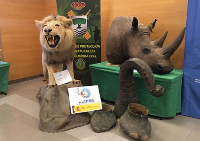 El SEPRONA asesta un duro golpe al trafico ilegal de especies