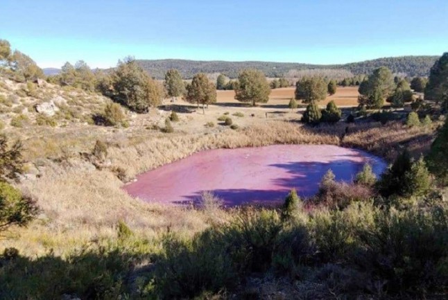 El color rosa del agua de la Laguna de la Tortuga no proviene de contaminación
